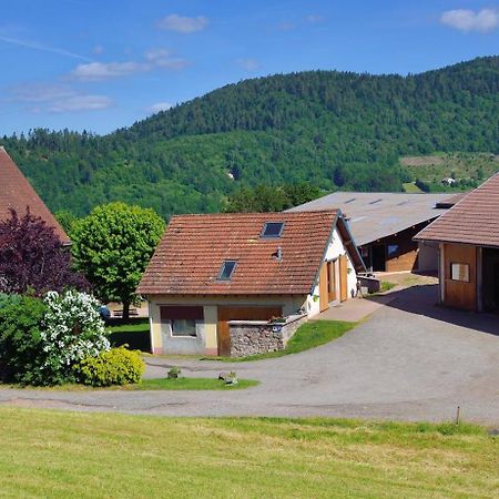 Hébergement François Mathieu Saint-Maurice-sur-Moselle Exterior foto