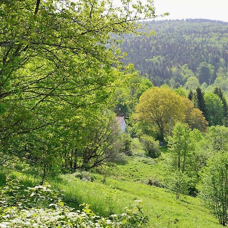Hébergement François Mathieu Saint-Maurice-sur-Moselle Exterior foto