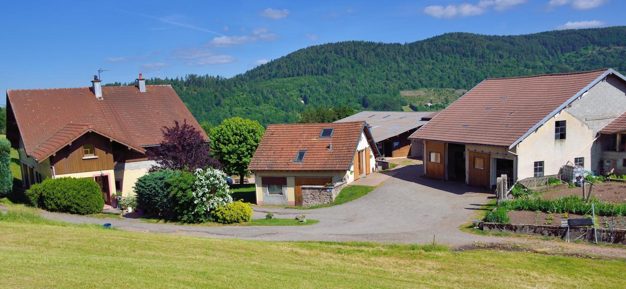 Hébergement François Mathieu Saint-Maurice-sur-Moselle Exterior foto