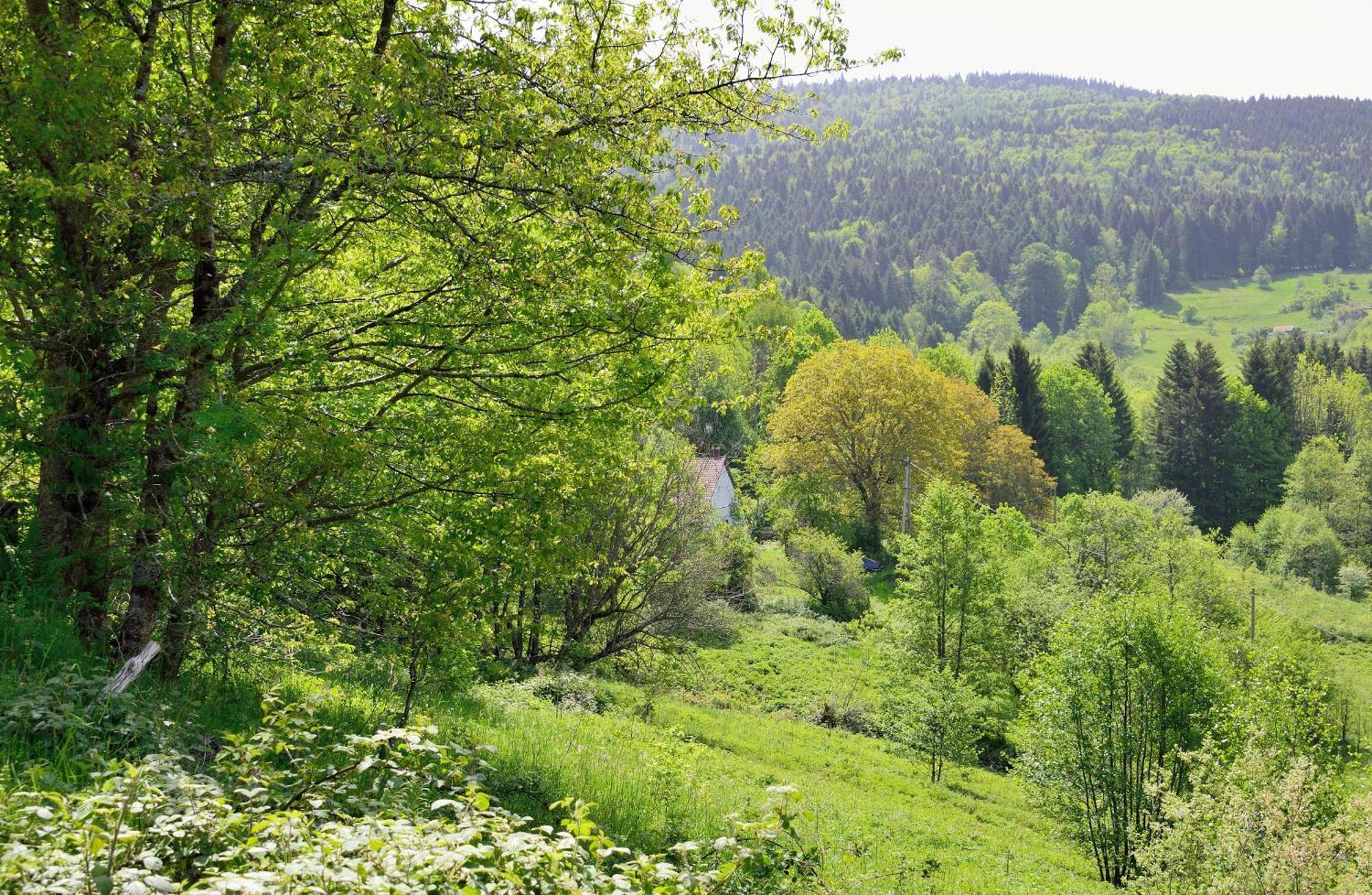 Hébergement François Mathieu Saint-Maurice-sur-Moselle Exterior foto